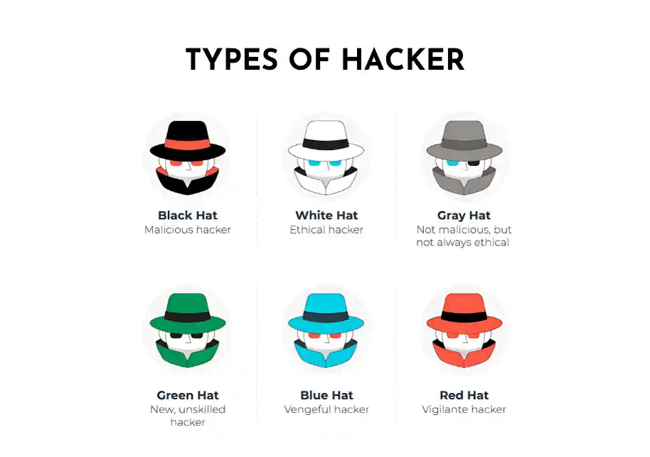 Best Ethical Hacking Training Institute in Chennai